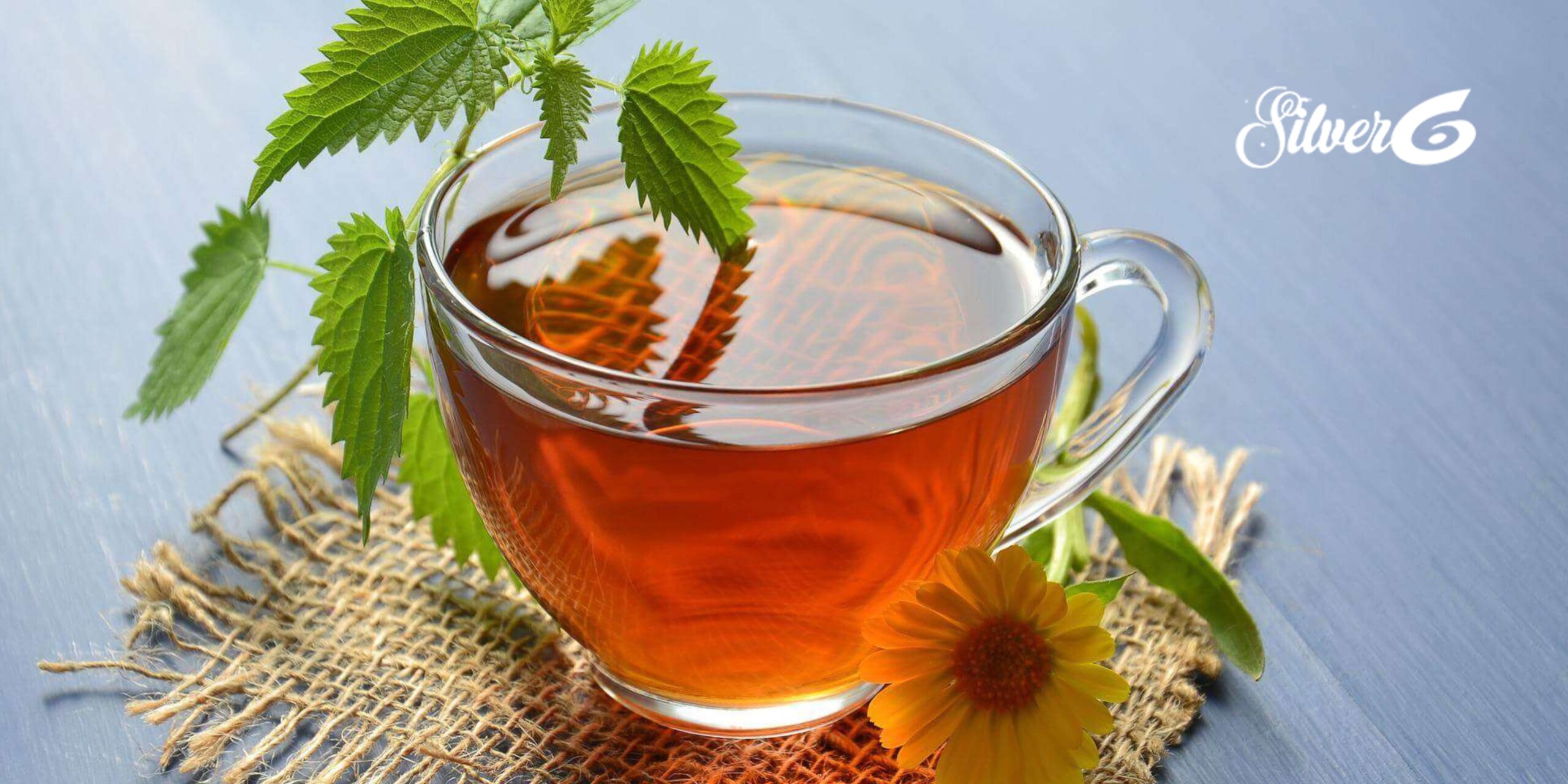 Winter with Herbal Tea