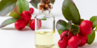 Therapy oil – Wintergreen oil Therapy oil - Wintergreen oil